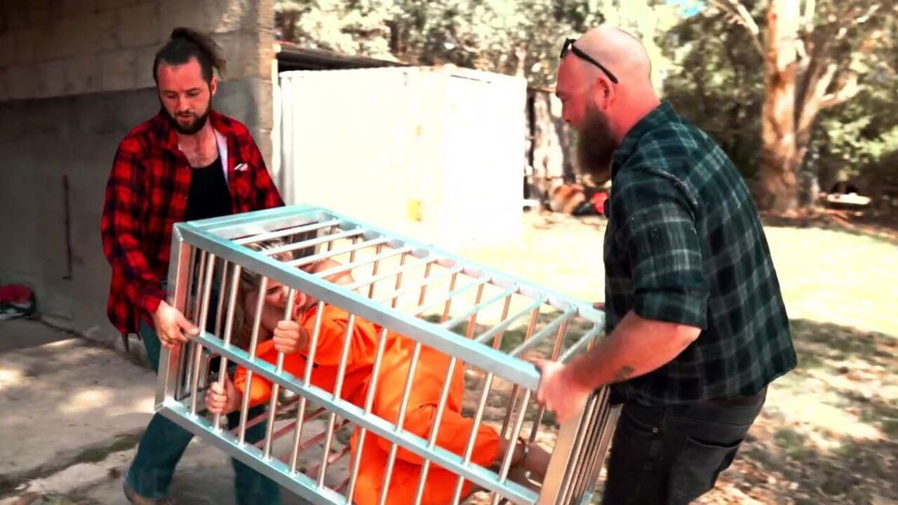 Backdrop for The Farm 4