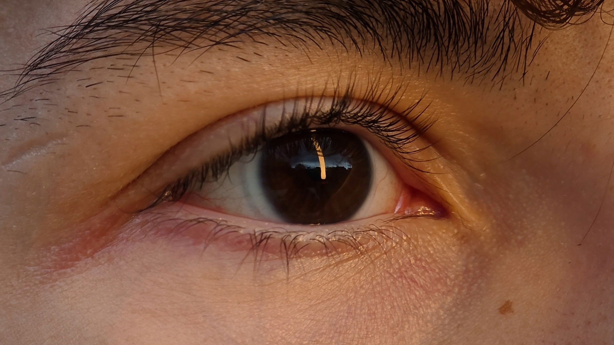 Backdrop for Bon Vivant