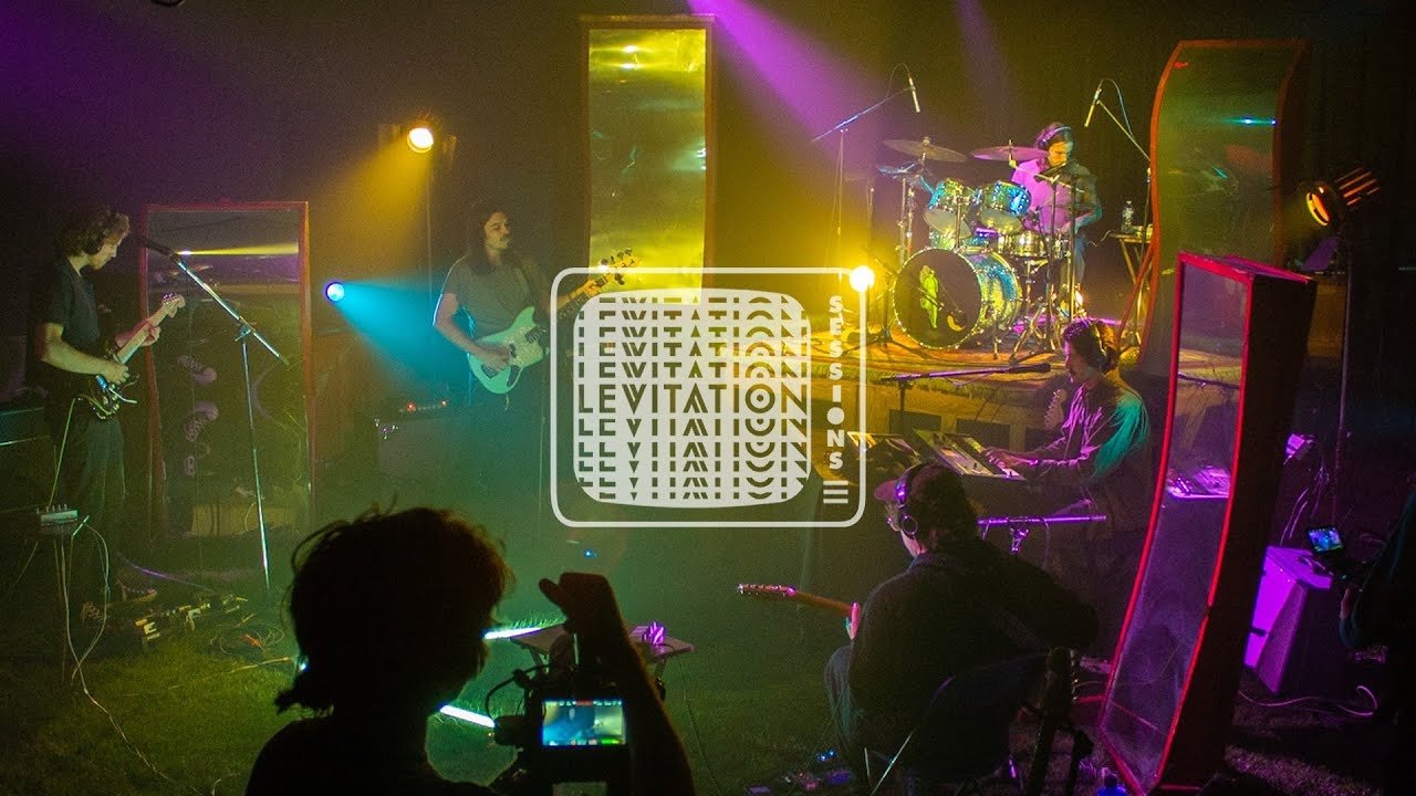 Backdrop for Post Animal - Levitation Sessions