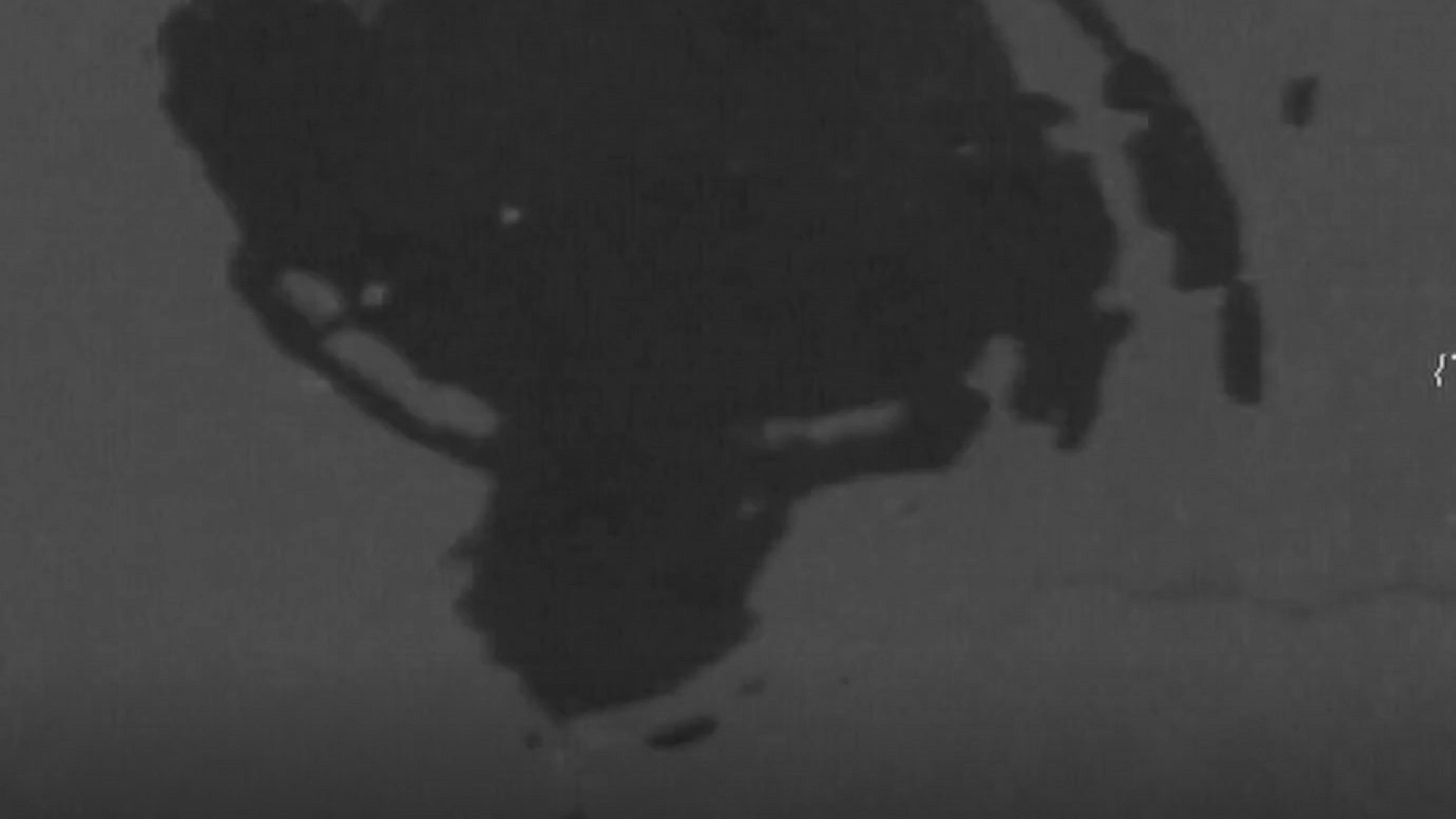 Backdrop for Film Amateura