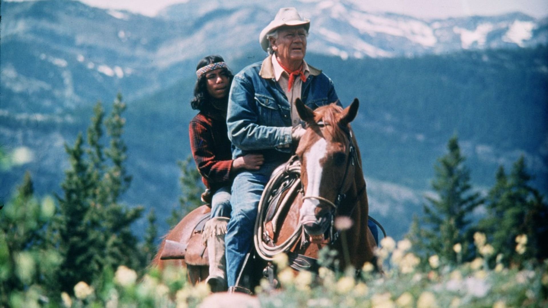 Backdrop for Mustang Country