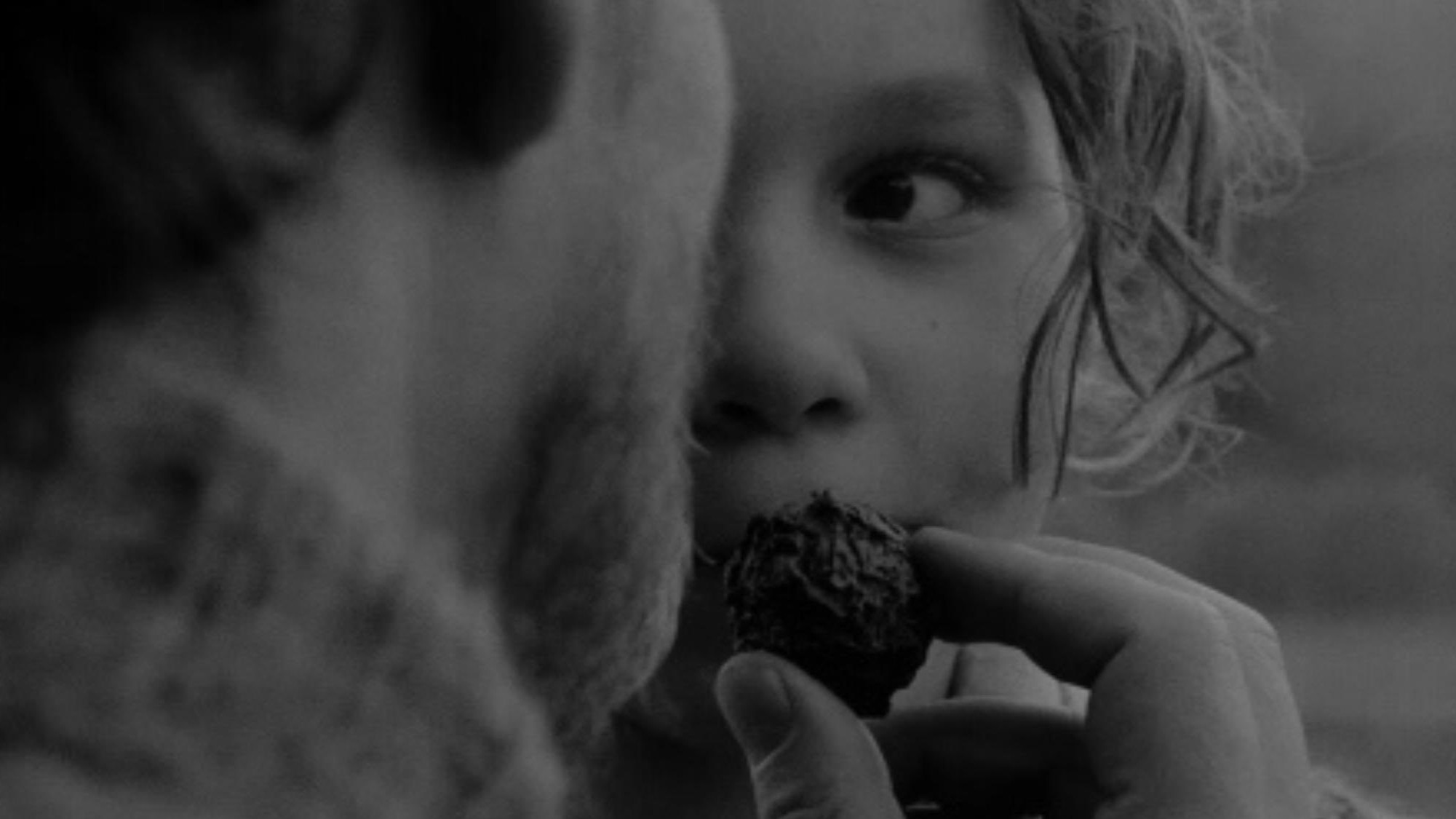 Backdrop for Twilight