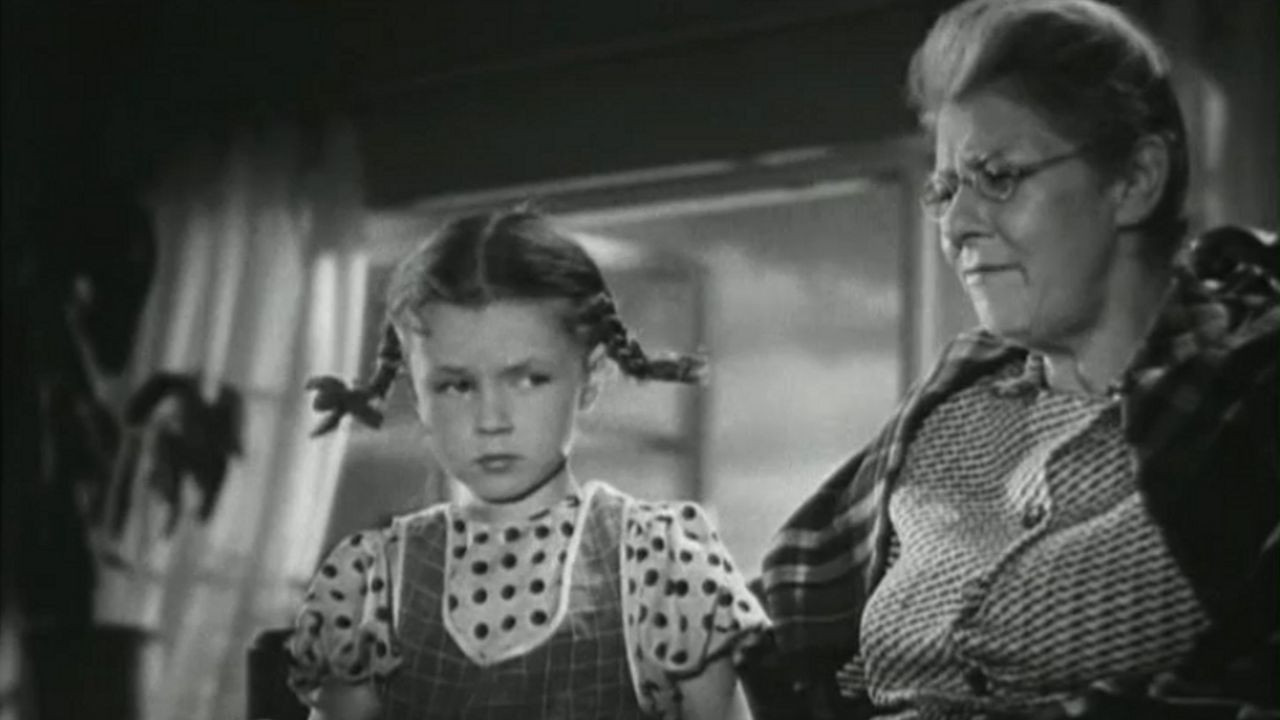 Backdrop for An Elephant and a Rope