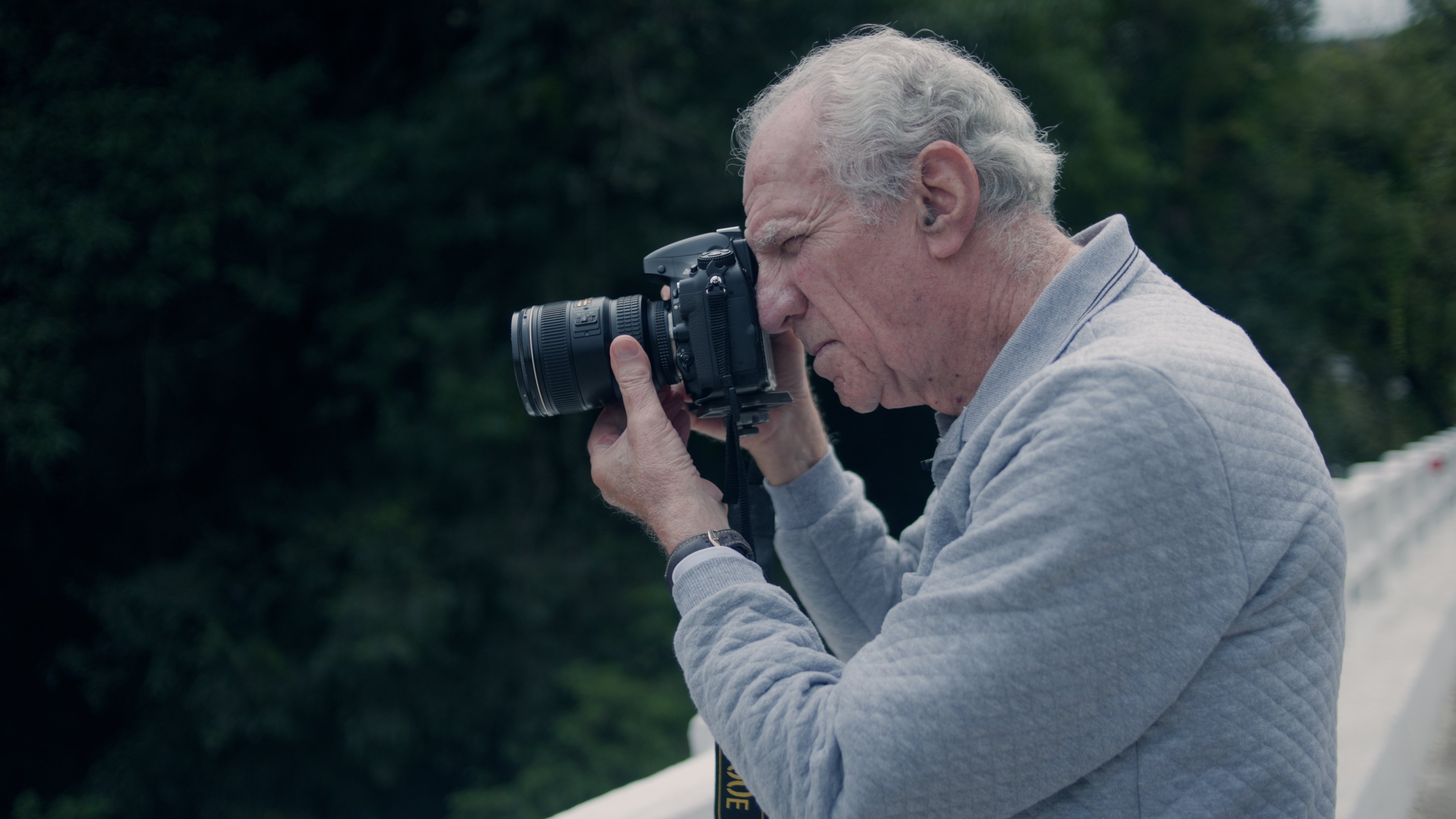 Backdrop for Silêncio das Asas