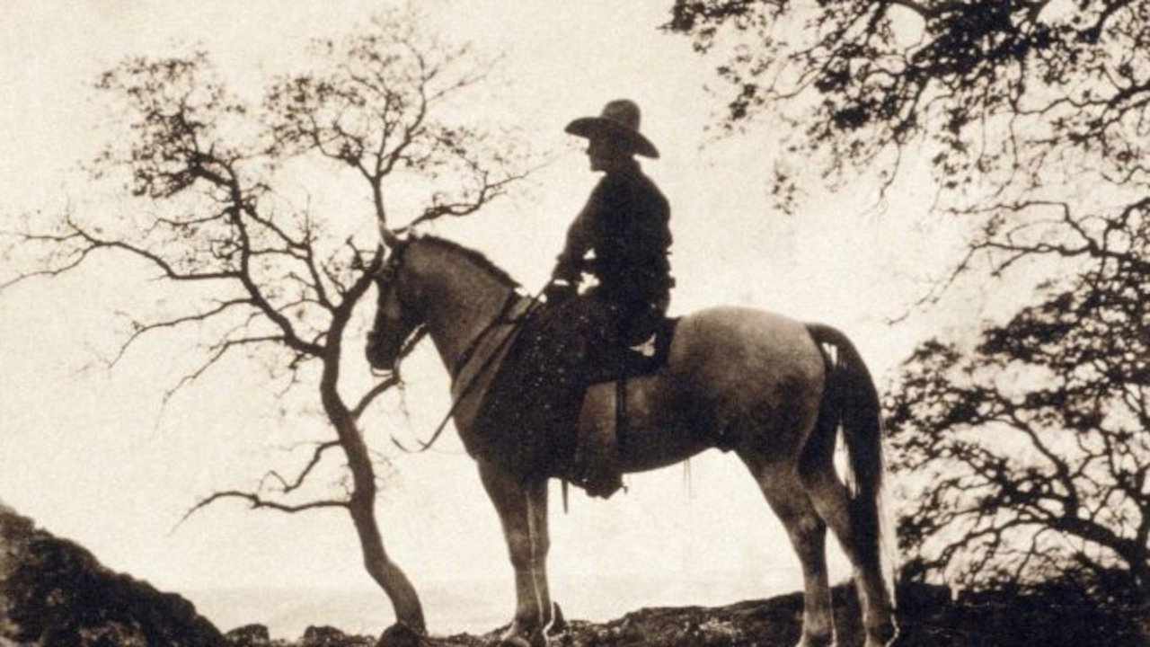 Backdrop for The Trail Rider