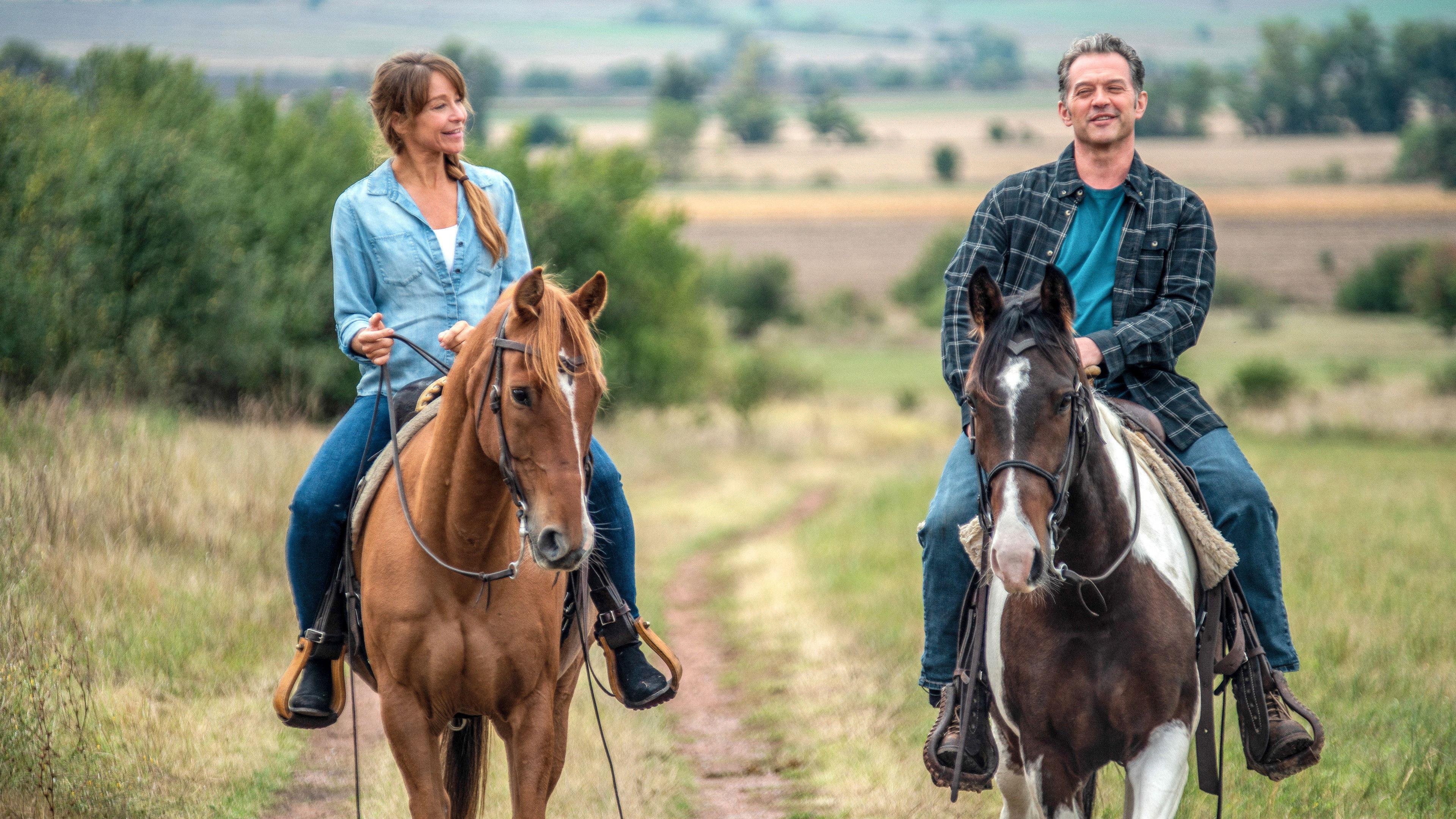 Backdrop for For Better or Worse