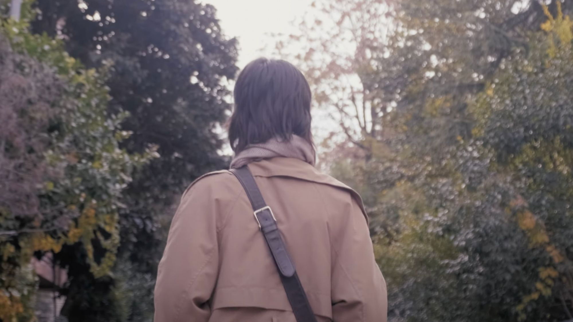 Backdrop for Mist, Cookie and Prophecy