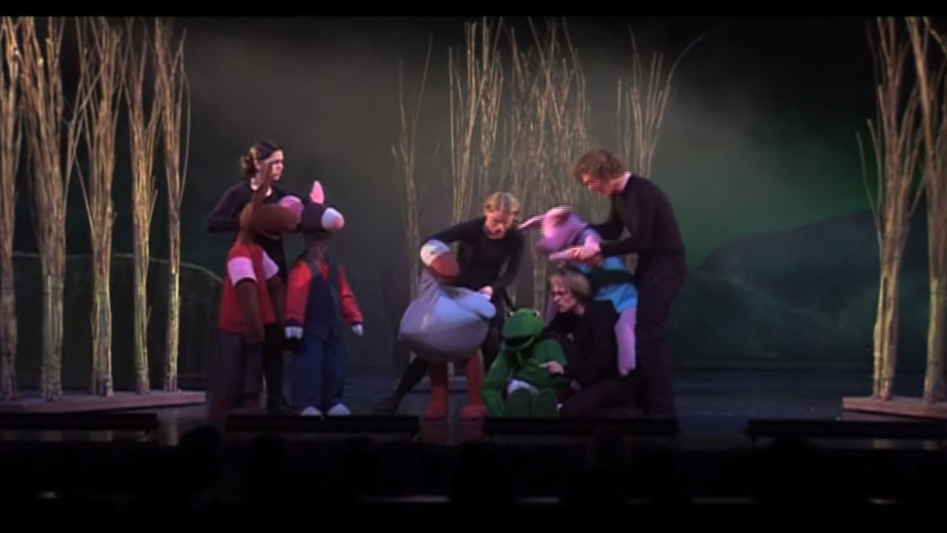 Backdrop for Kikker en Zijn Vriendjes