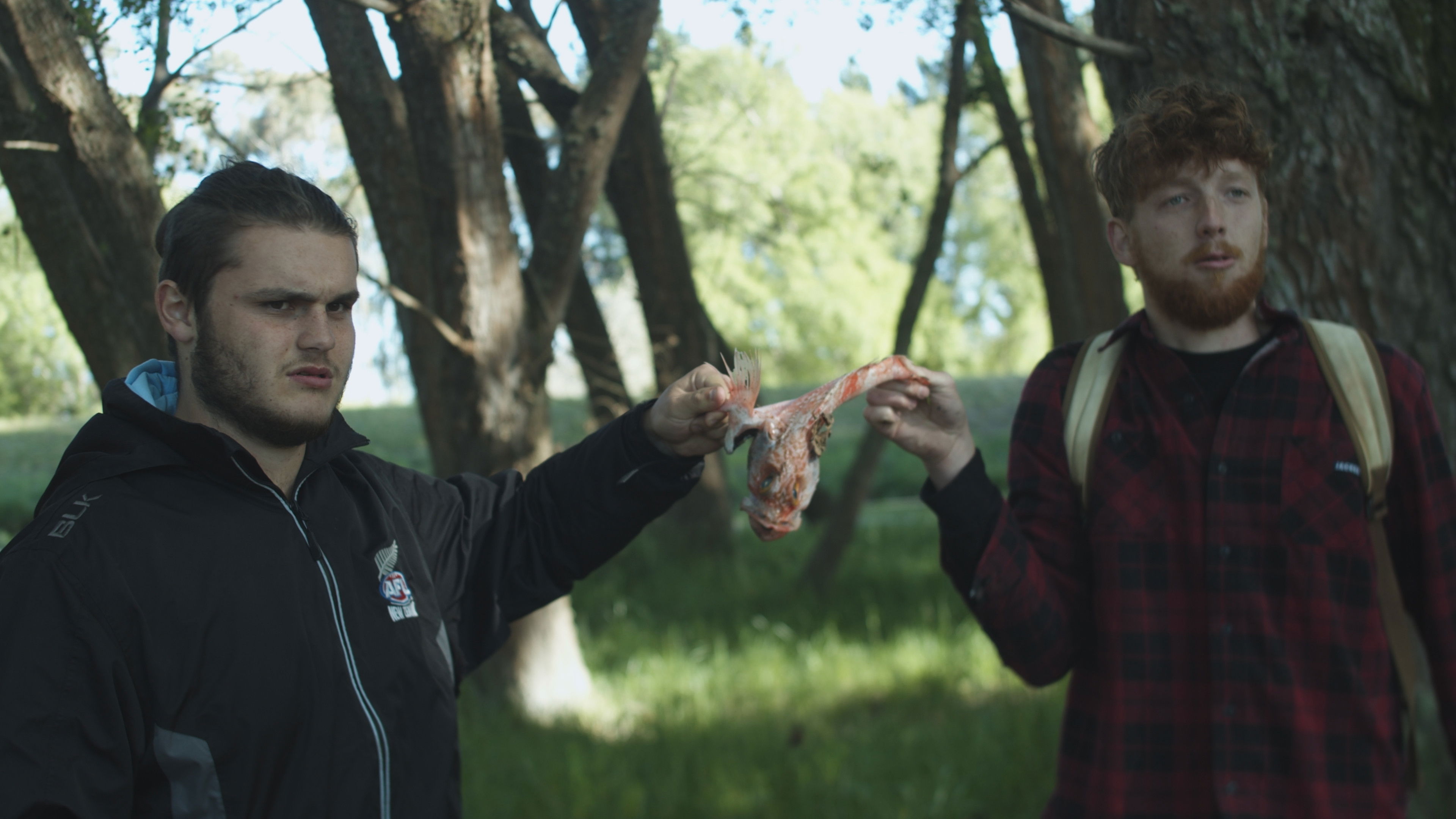 Backdrop for To Catch a Fish