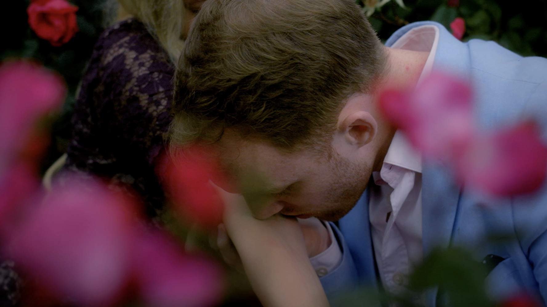 Backdrop for The Texture of Falling