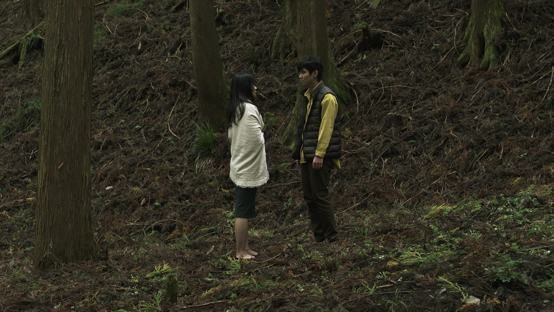 Backdrop for Beyond the Night