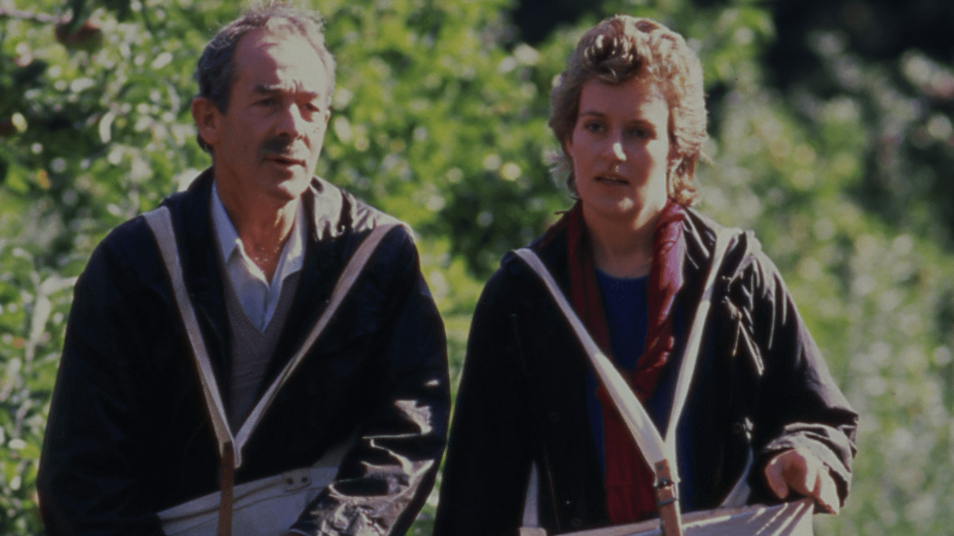 Backdrop for Grim Pickings