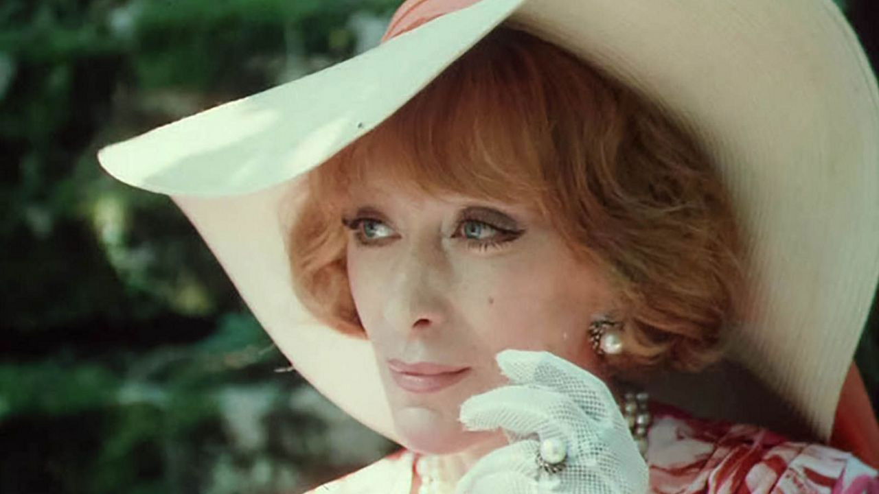 Backdrop for The Visit