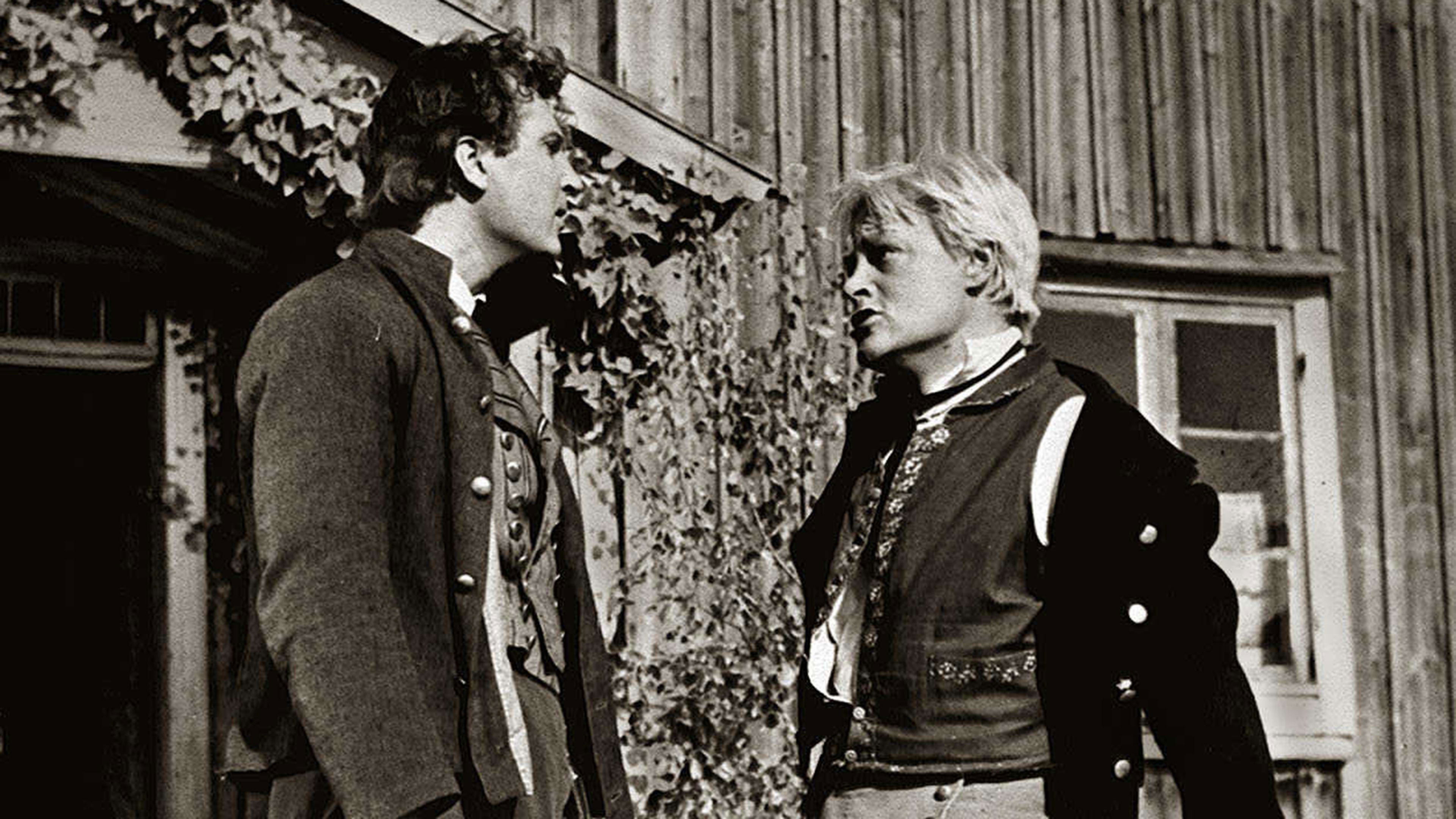 Backdrop for Nummisuutarit