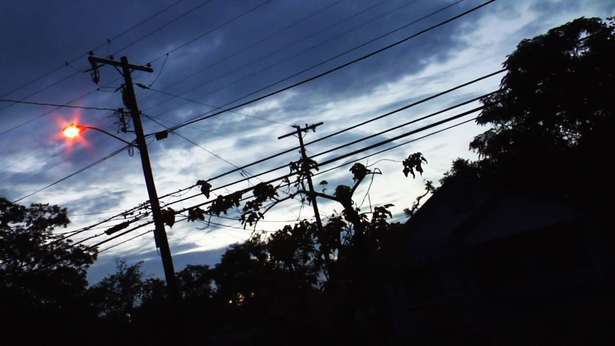 Backdrop for No Ward