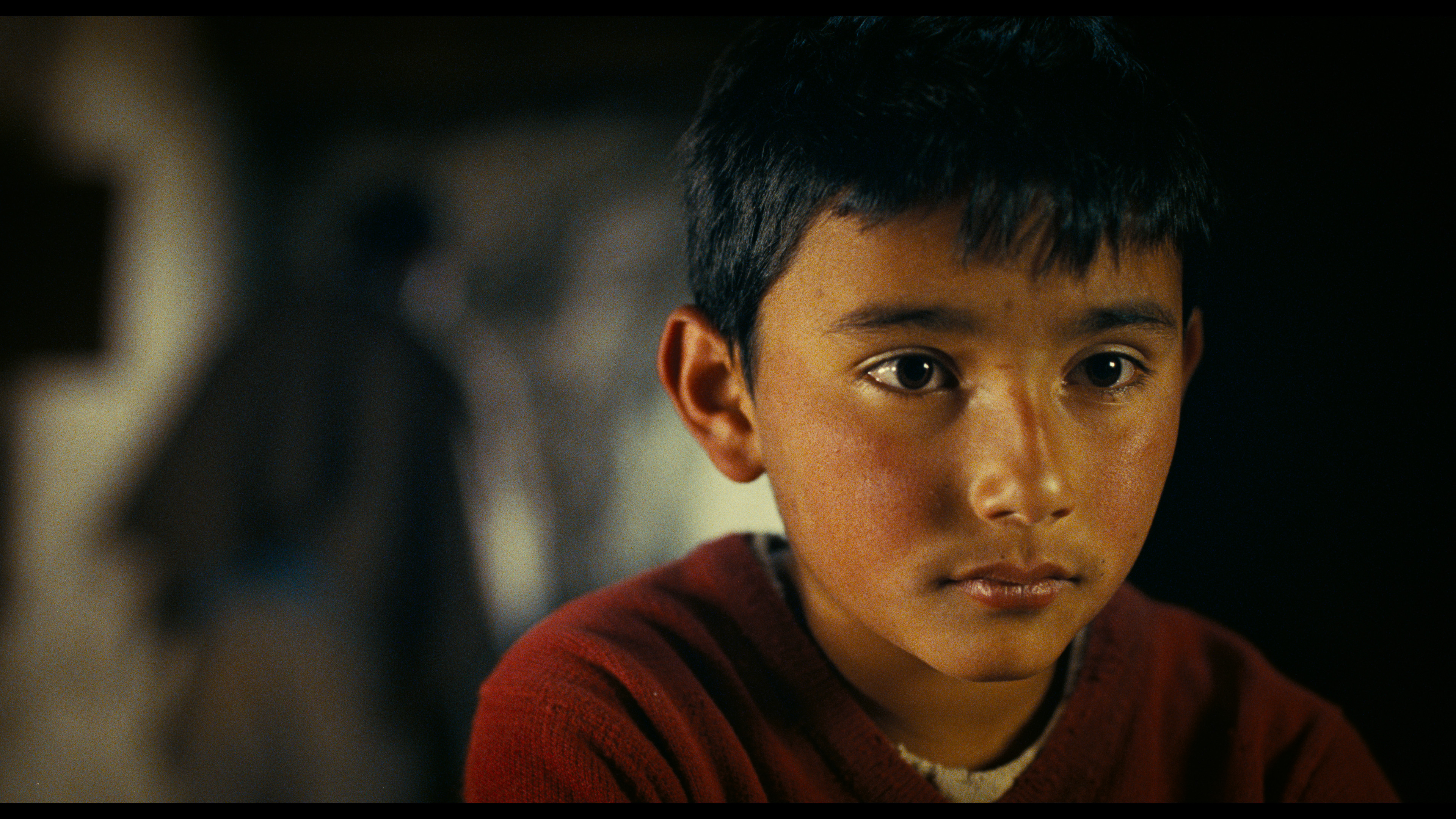 Backdrop for The Size of Things