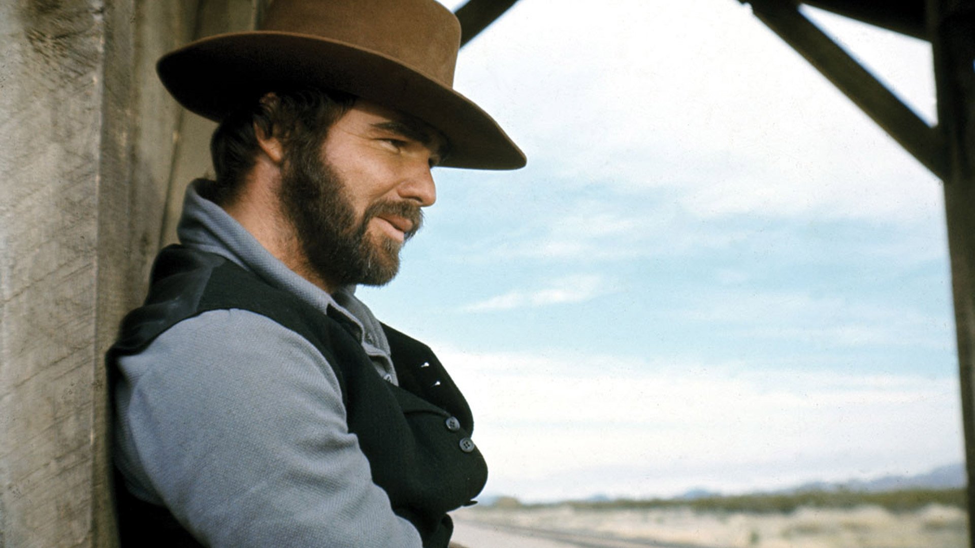 Backdrop for The Man Who Loved Cat Dancing