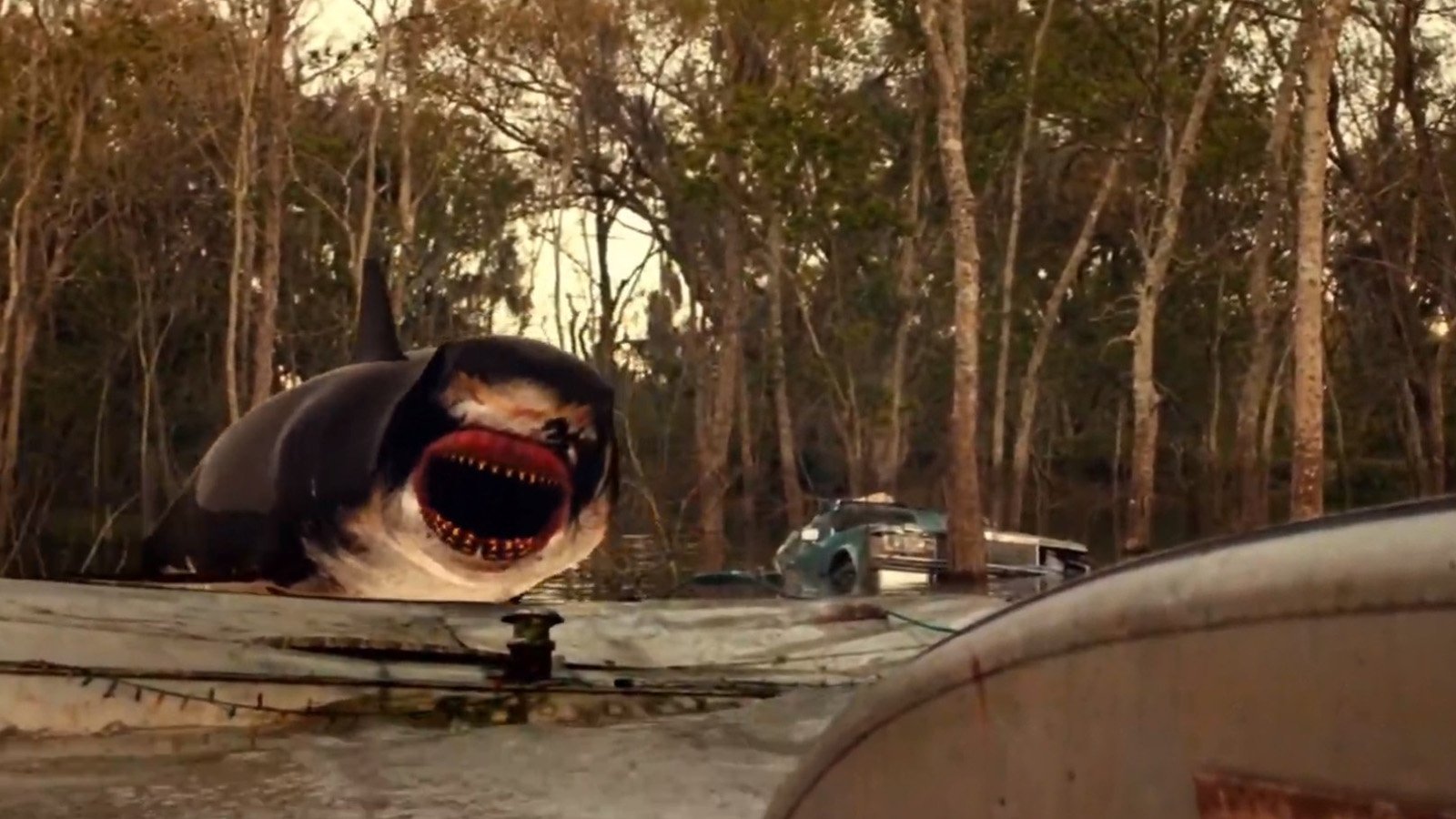 Backdrop for Trailer Park Shark