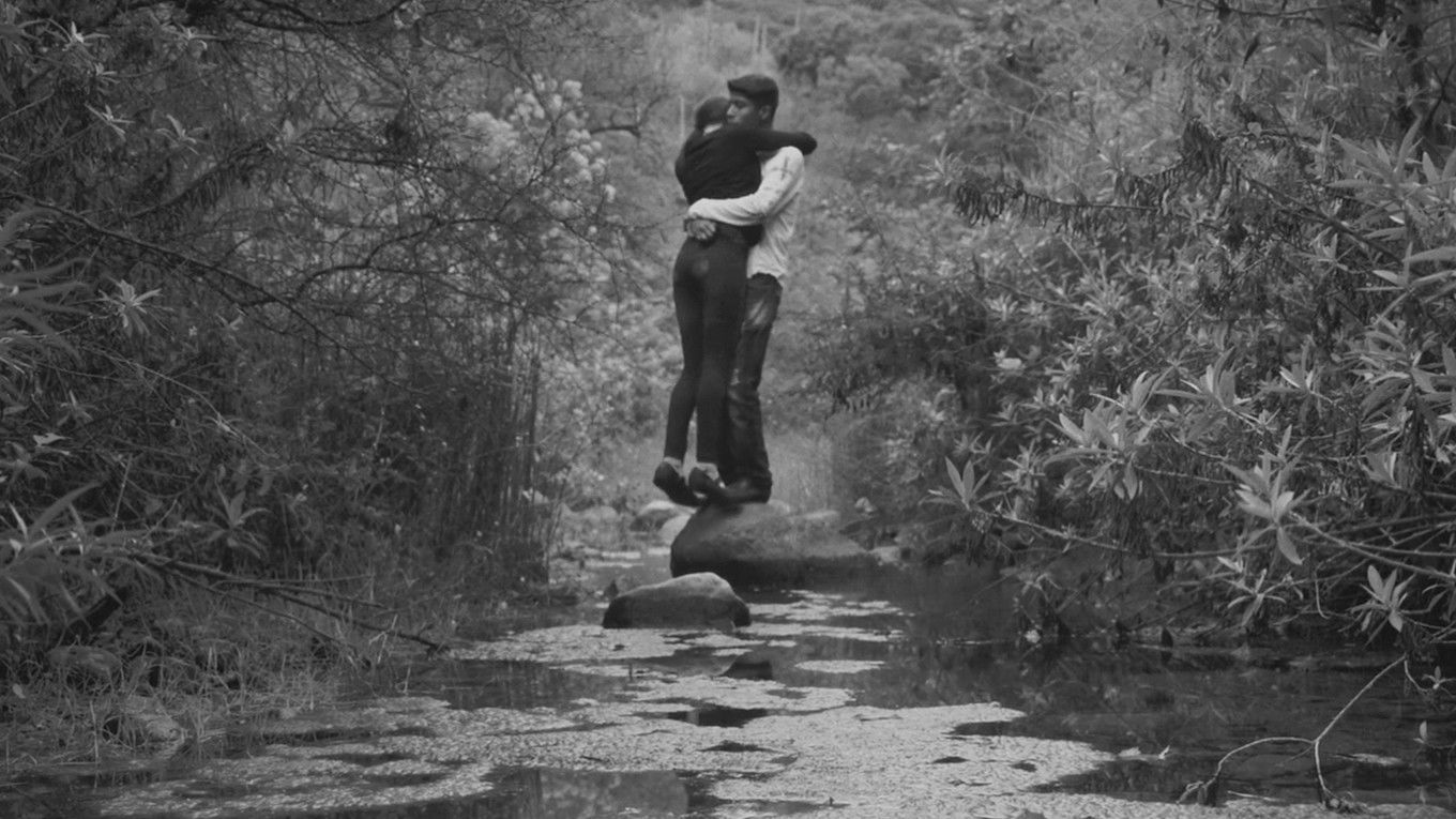 Backdrop for ¡Viva el Pueblo!