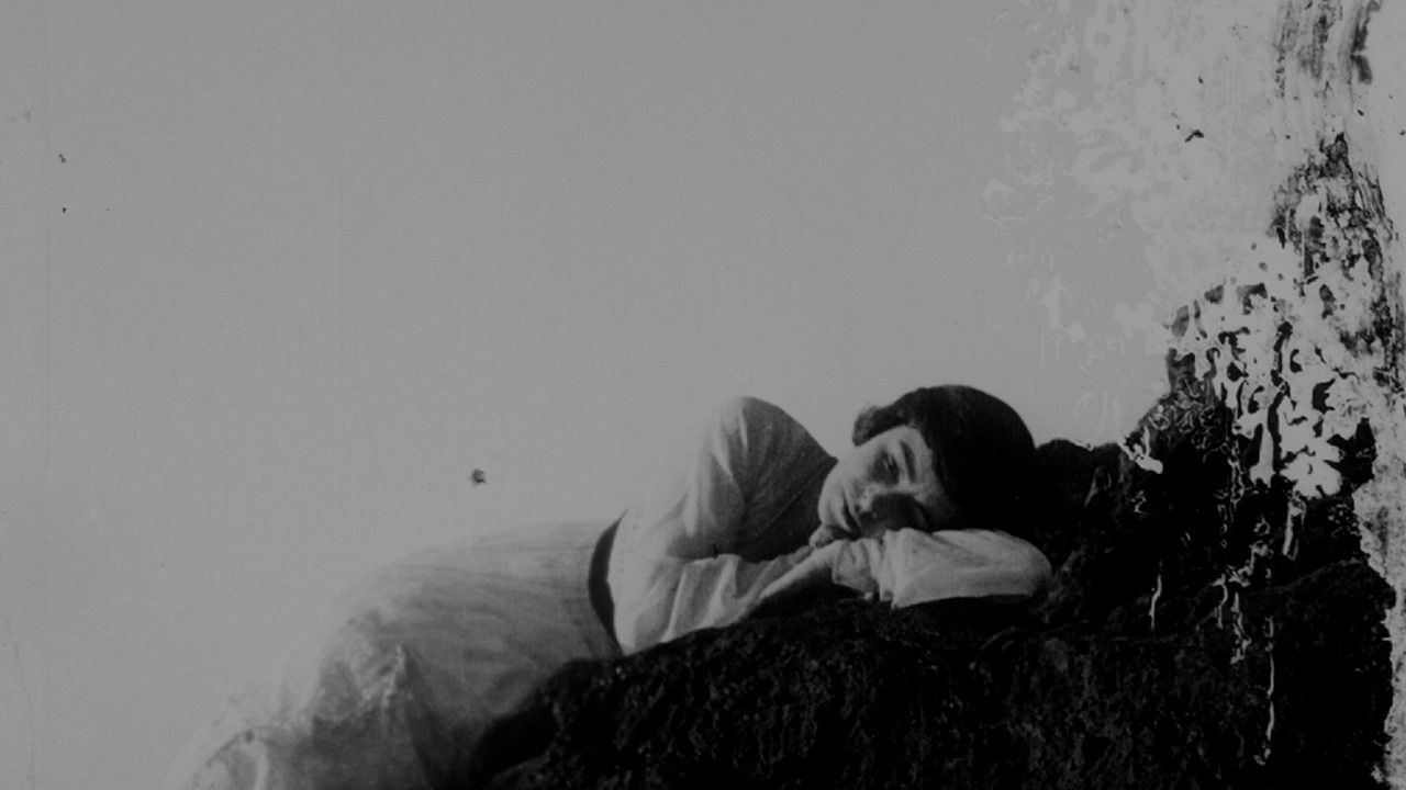 Backdrop for Barriers of Society