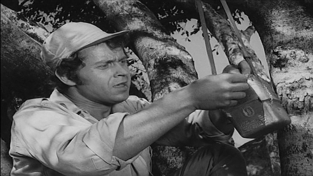 Backdrop for Das Geheimnis der Anden