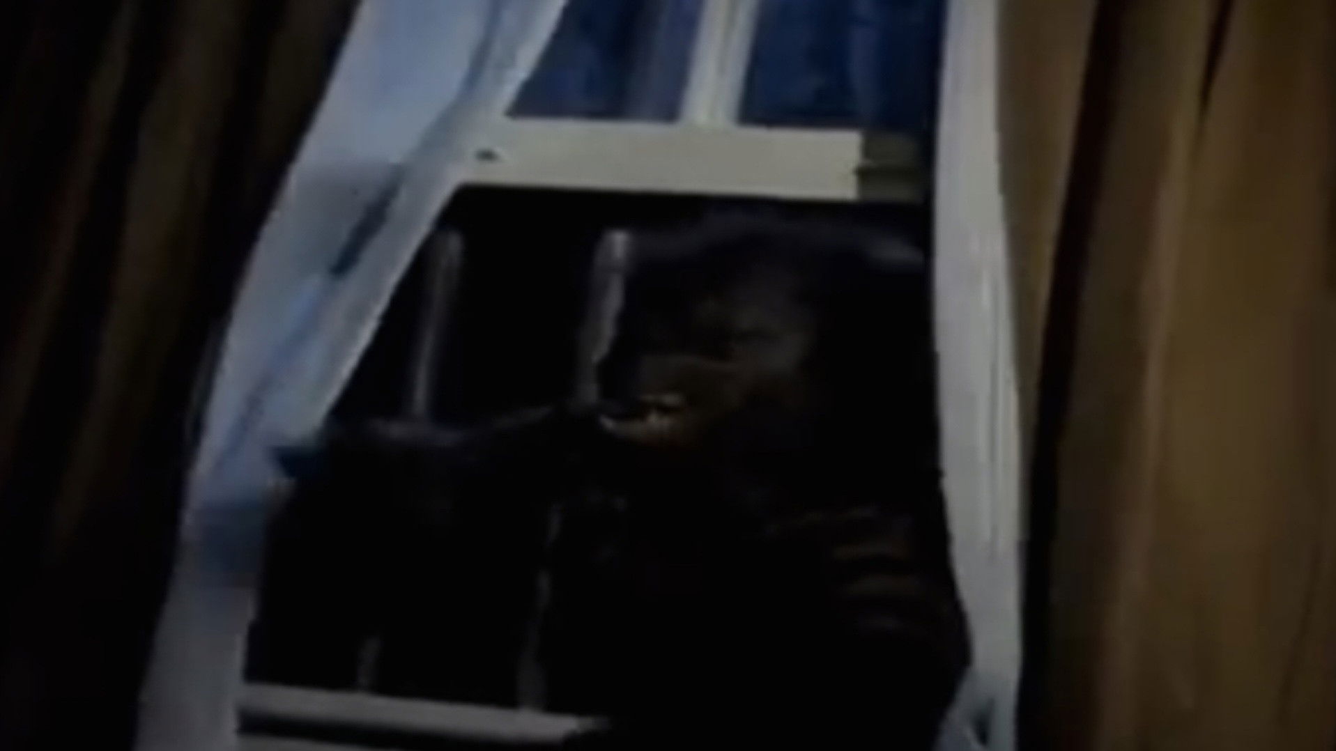 Backdrop for Goosebumps: Werewolf Skin