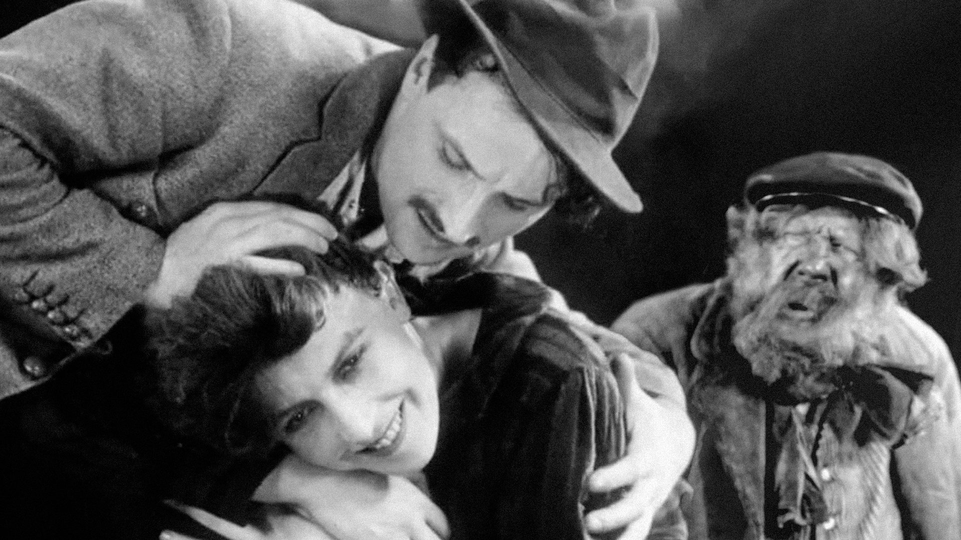 Backdrop for Pivoine