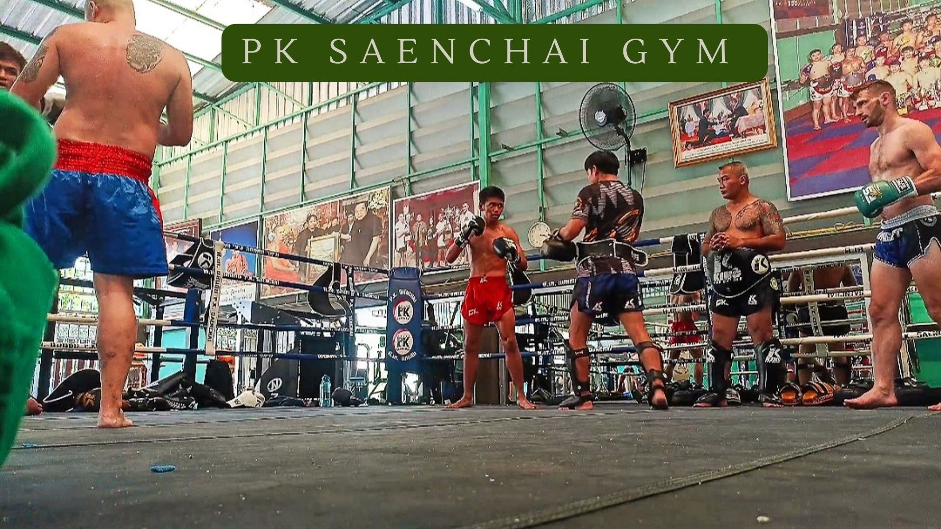 Backdrop for Pk Saenchai Gym
