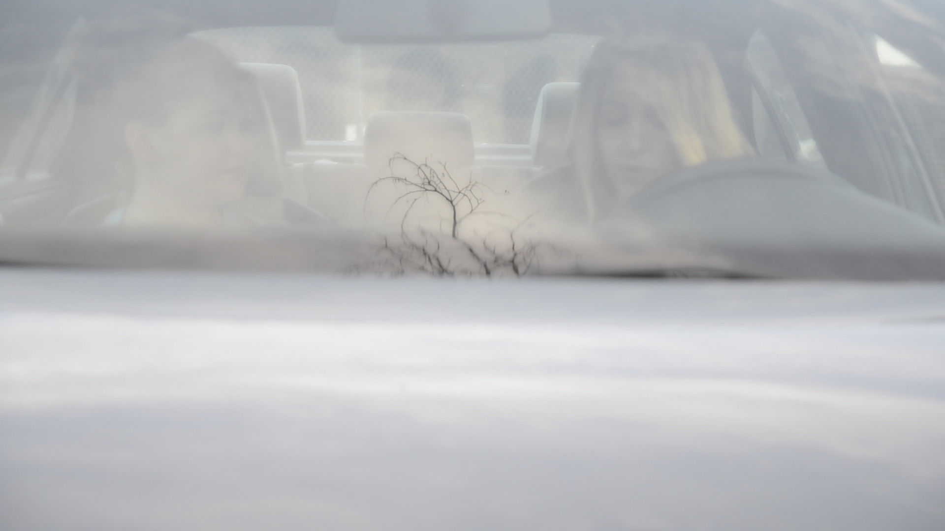 Backdrop for The Ground that Sinks