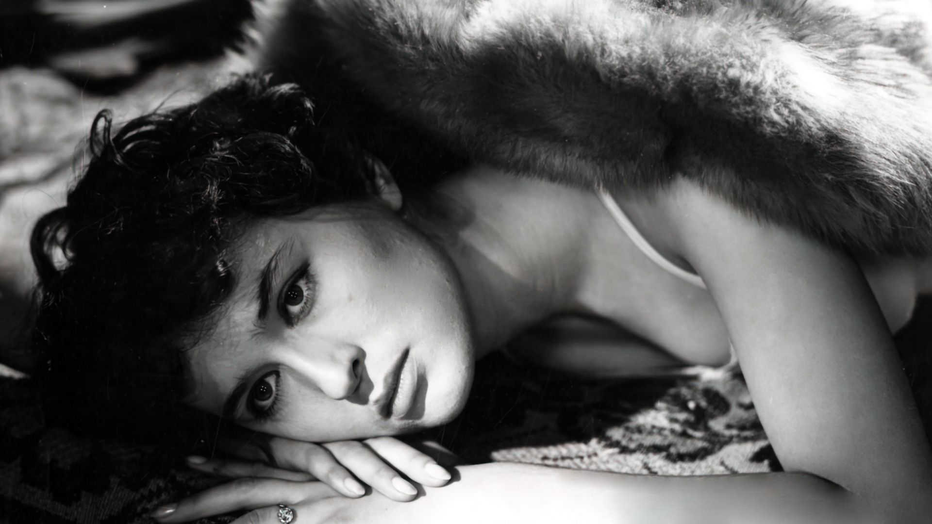 Backdrop for Farewells