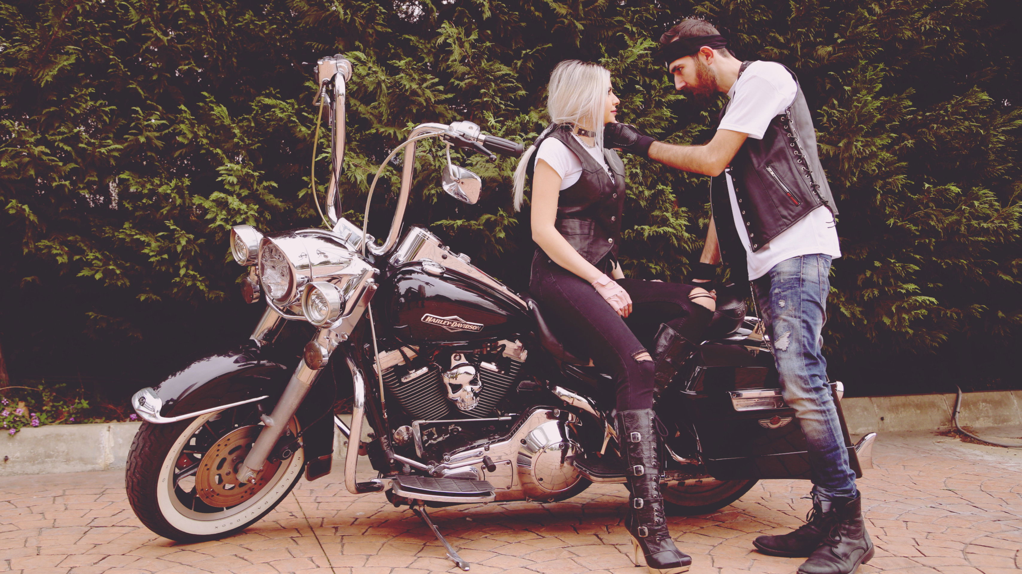 Backdrop for Marid Bel Neswan