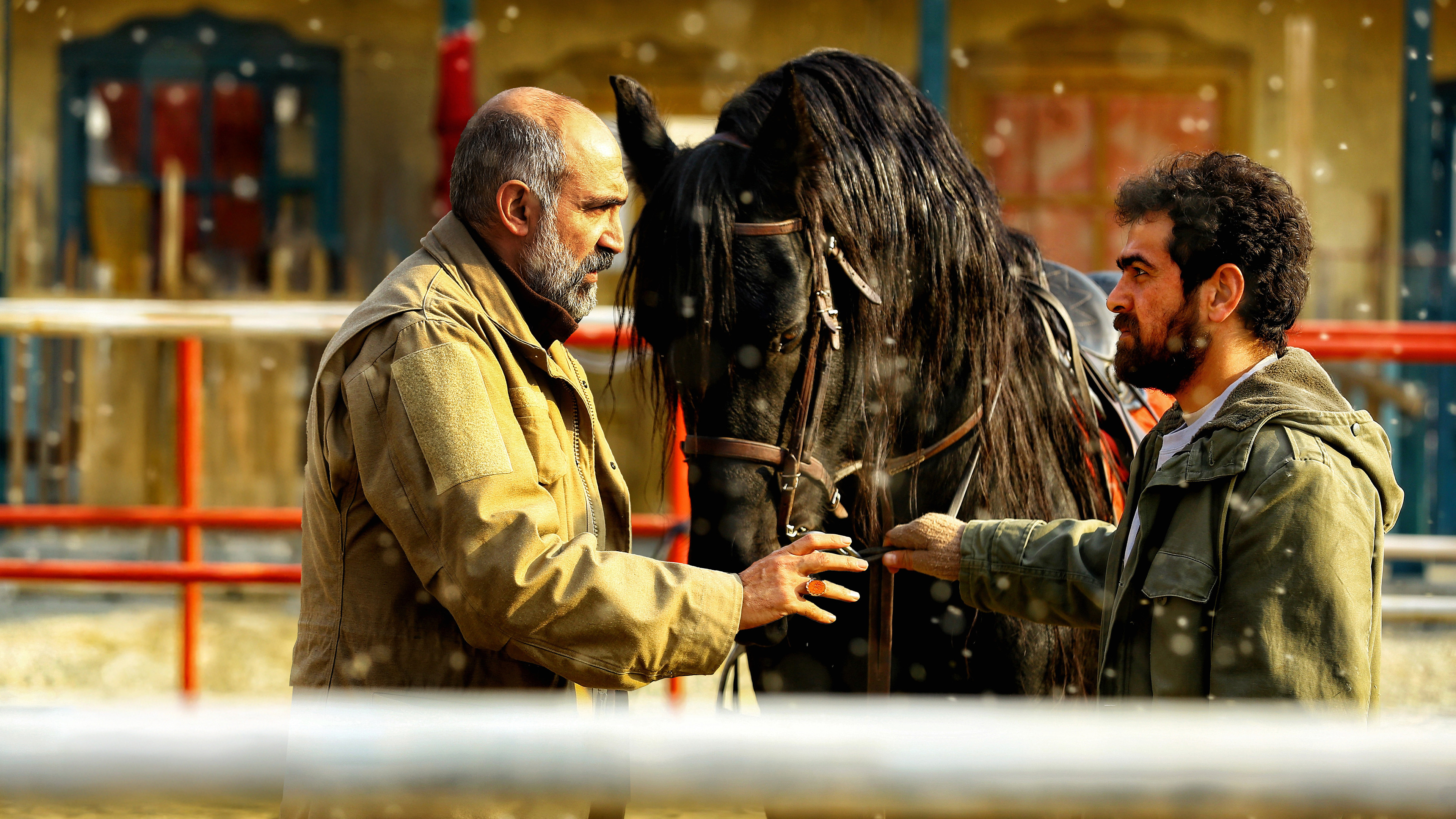 Backdrop for Guardian of the Field