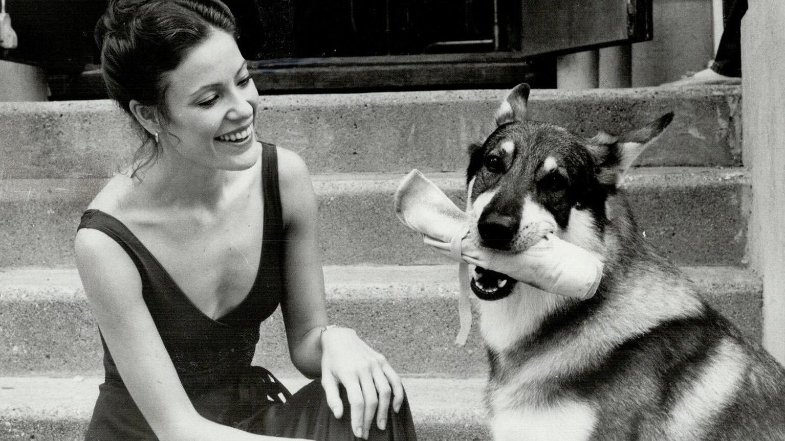 Backdrop for The Littlest Hobo