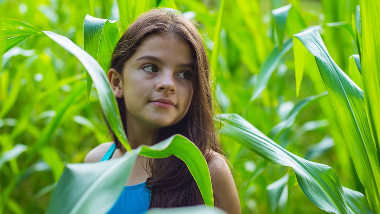 Backdrop for The Awakening of the Ants: Childhood