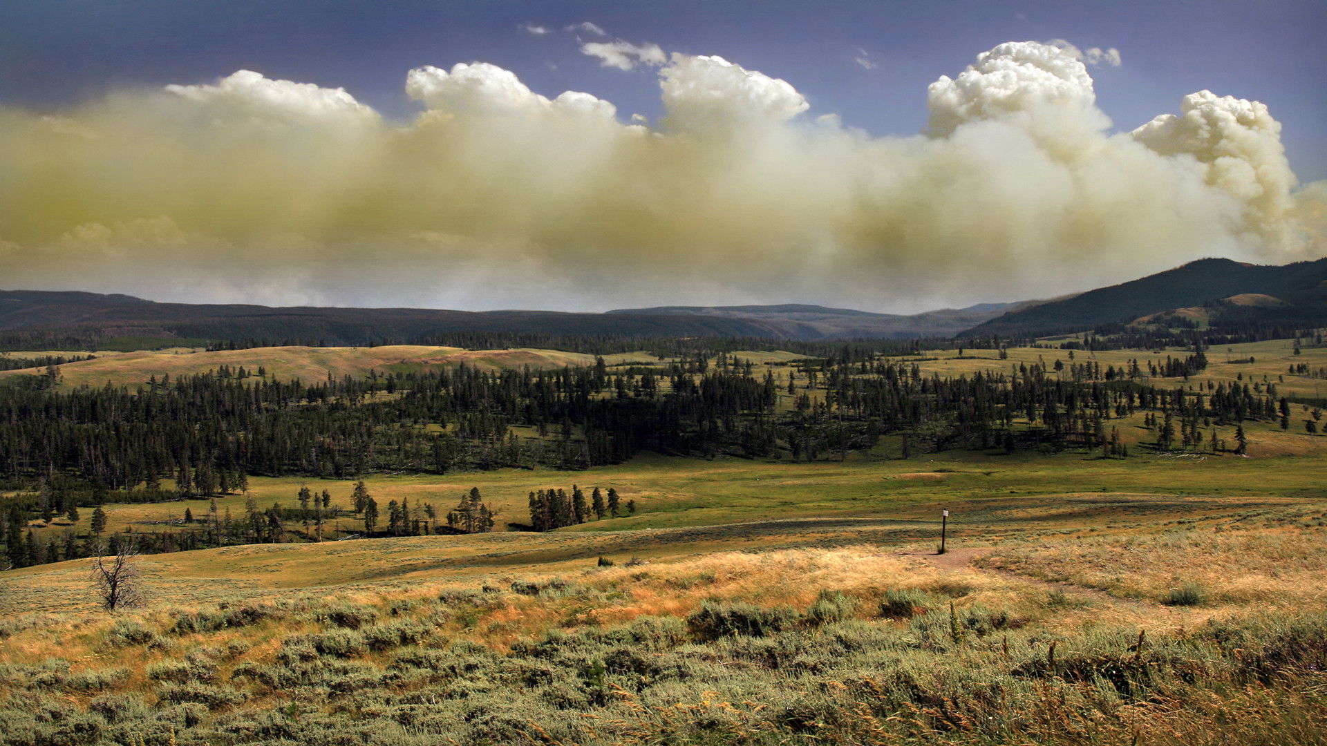 Backdrop for National Parks Exploration Series: Yellowstone