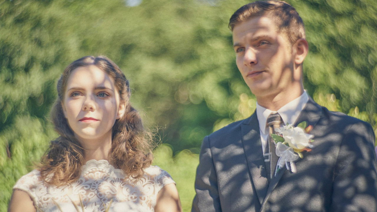 Backdrop for Crocuses