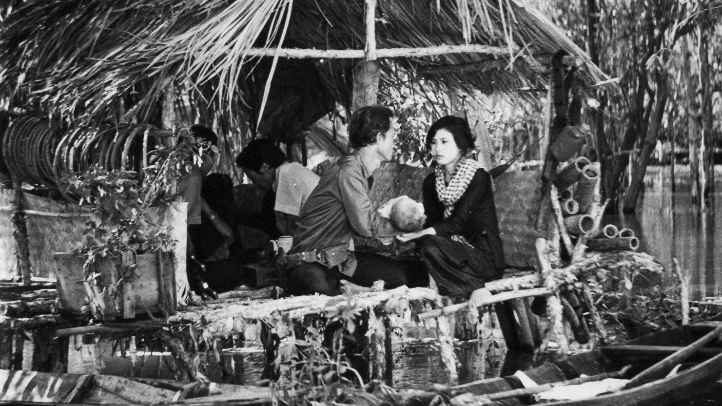 Backdrop for Wild Field