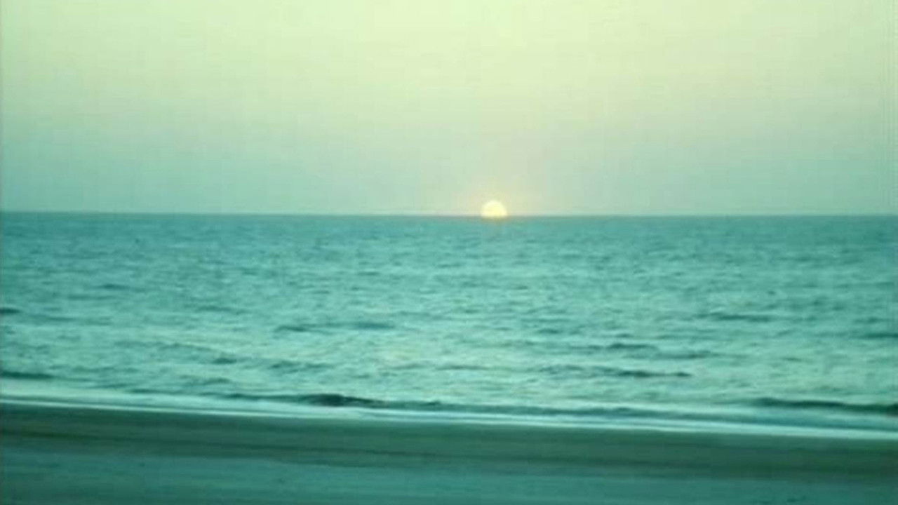 Backdrop for Son nom de Venise dans Calcutta désert