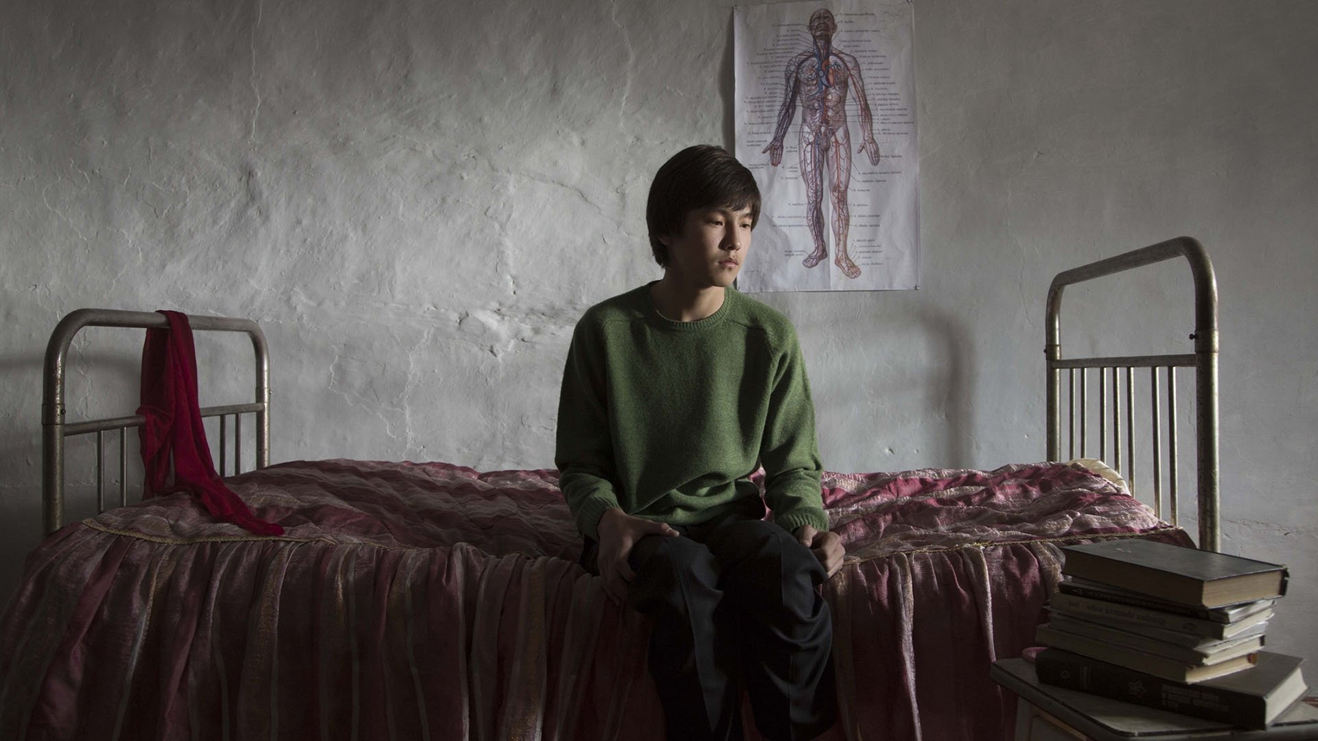 Backdrop for The Wounded Angel