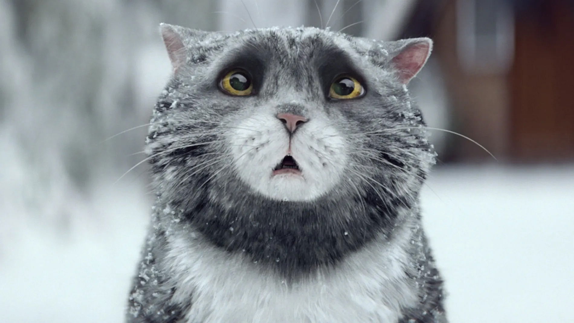 Backdrop for Sainsbury's: Mog's Christmas Calamity