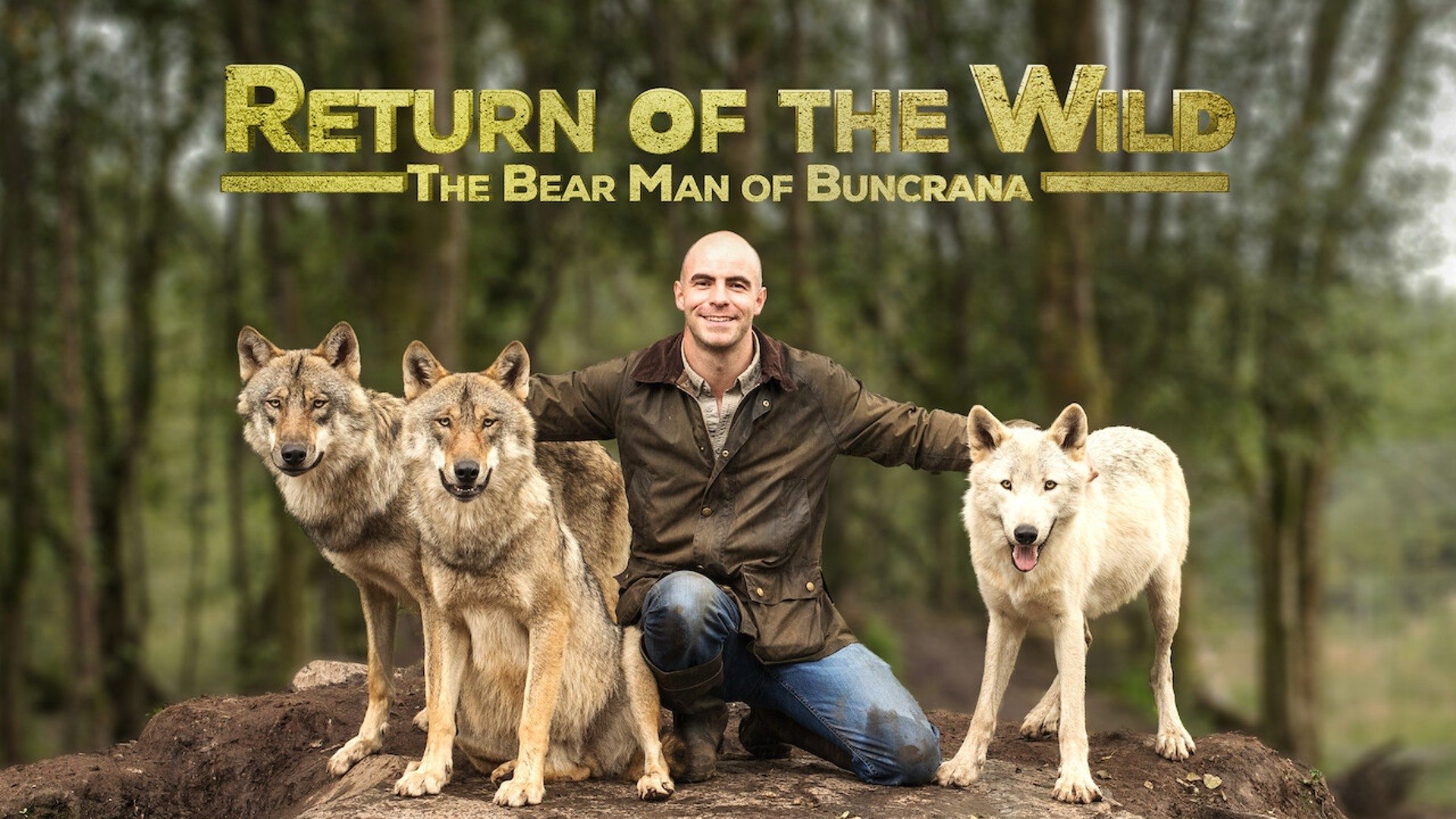Backdrop for Return of the Wild: The Bearman of Buncrana