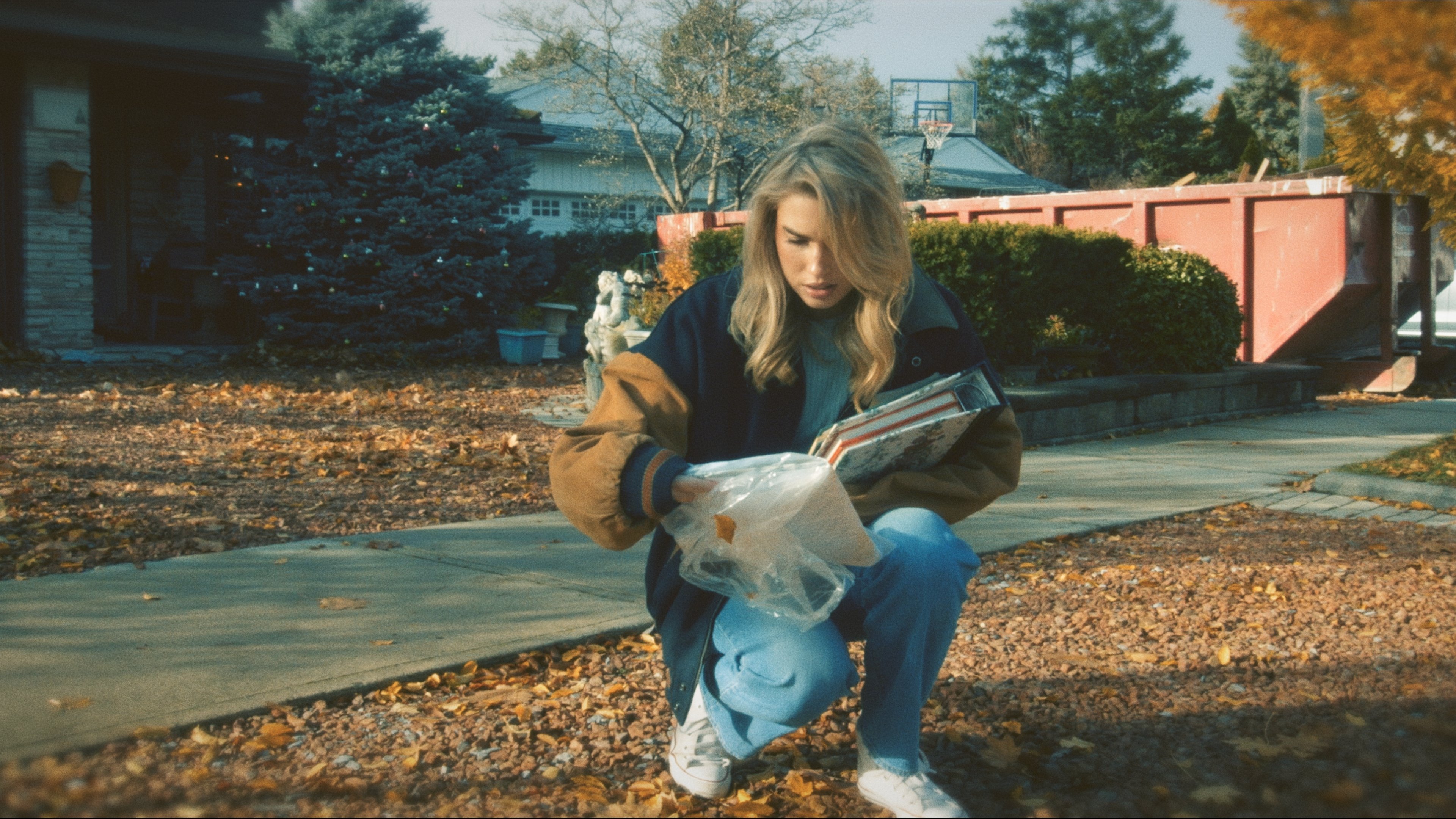 Backdrop for A Christmas Culler