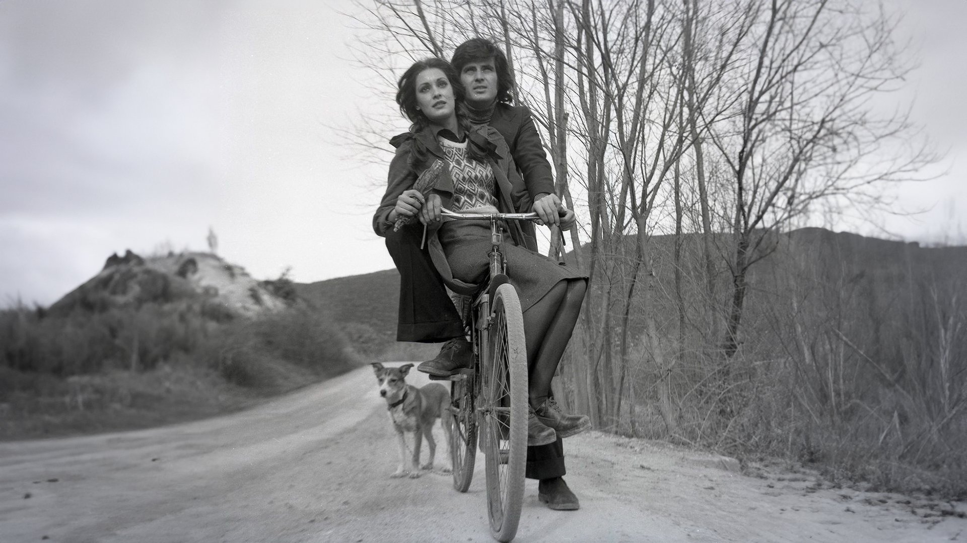 Backdrop for Delisin