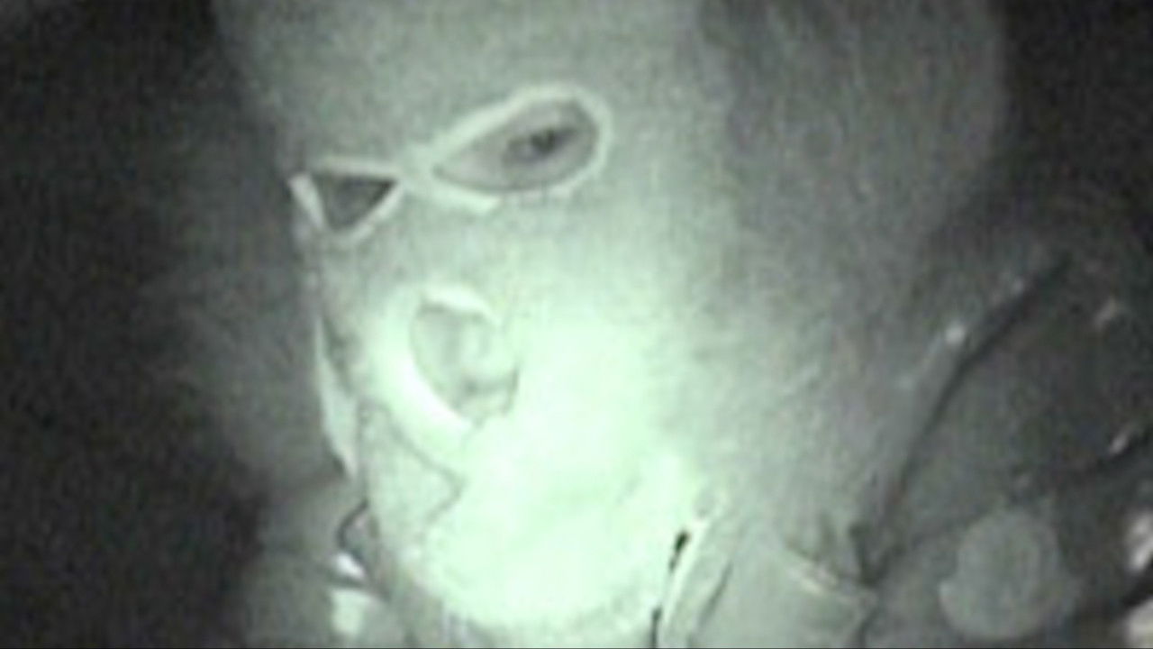 Backdrop for Not Found 5