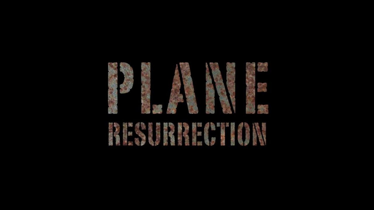 Backdrop for Plane Resurrection