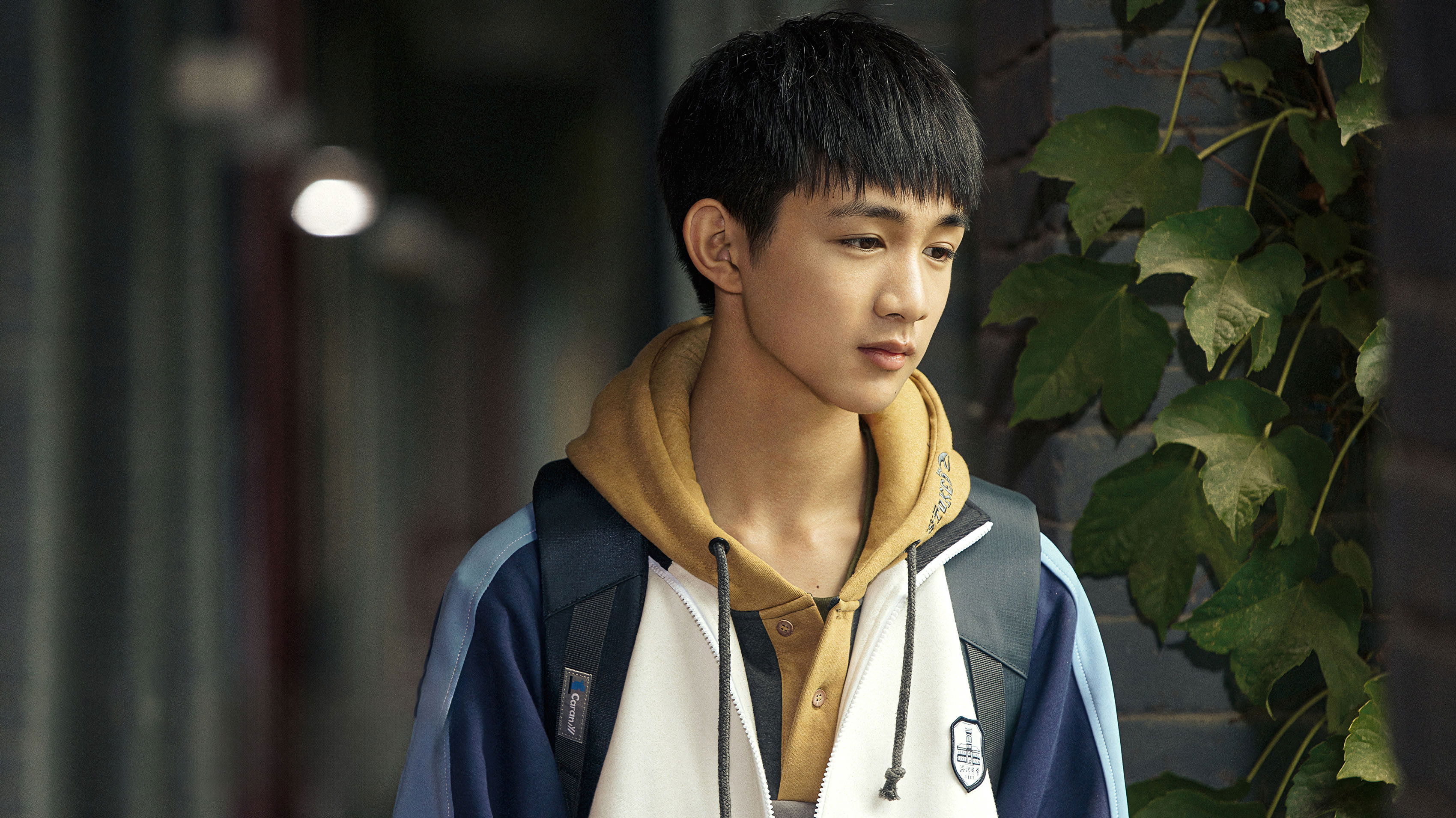 Backdrop for Mozart from Space