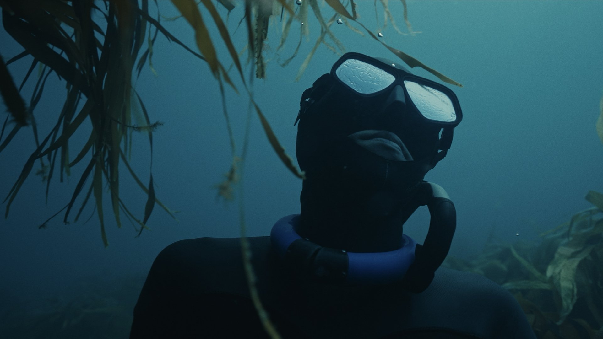 Backdrop for The Hold