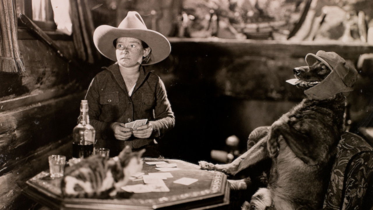 Backdrop for The Hound of Silver Creek