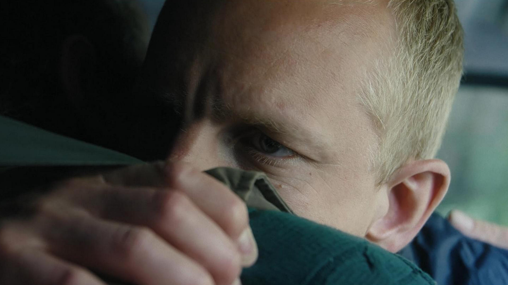 Backdrop for Hornbeam