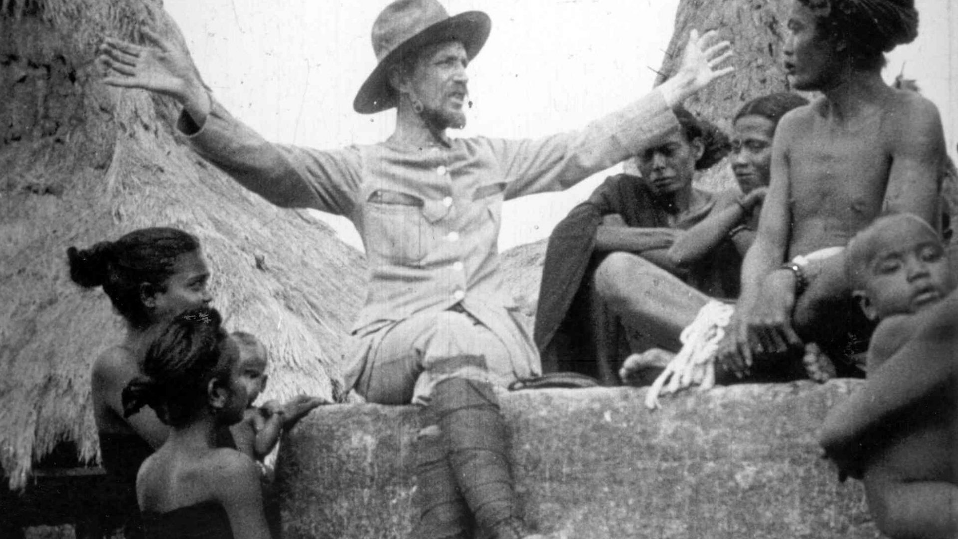 Backdrop for Mother Dao, the Turtlelike